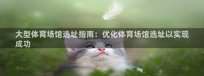 尊龙实业有限公司是正规还是仿