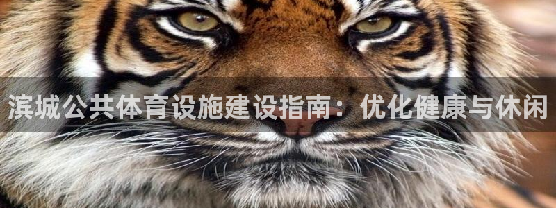 尊龙凯时人生就是搏!官网