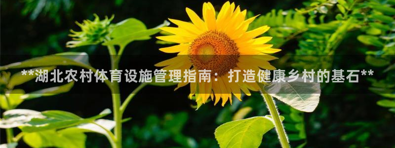 尊龙人生就是博登录