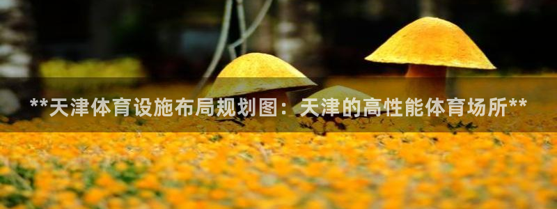 凯时国际app首页登录