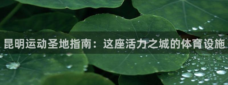尊龙新版人生就是博!