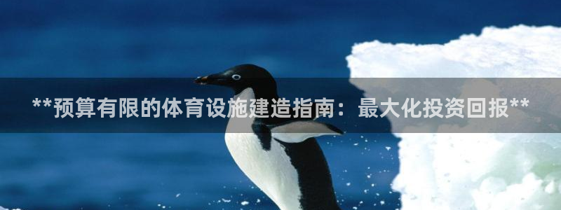 尊龙凯时网