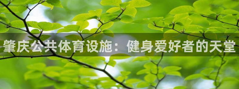 尊龙凯时充十万返现多少