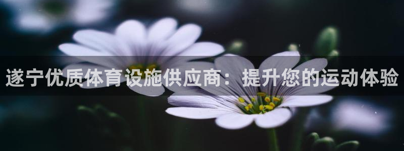 尊龙凯时人生就博