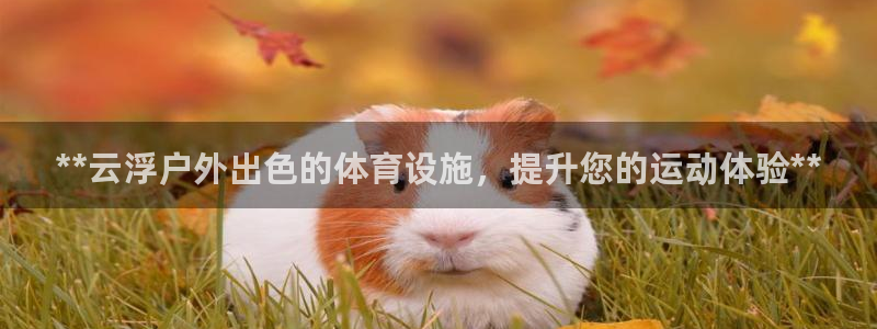 尊龙凯时有限公司