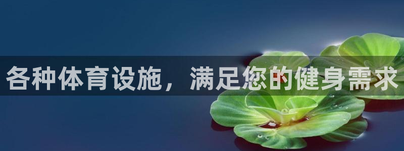 尊龙登录会员登录