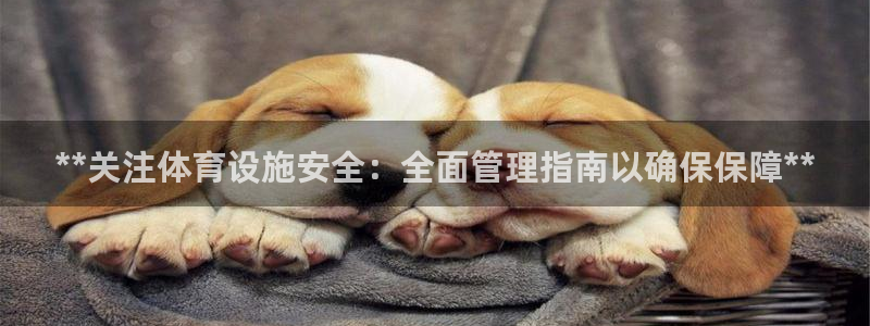 尊龙凯时登录