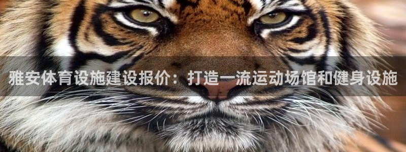 尊龙AG旗舰店