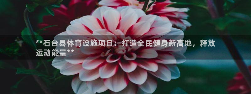 尊龙凯时提不了款