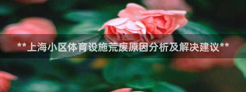 尊龙用现金娱乐一下下载旧