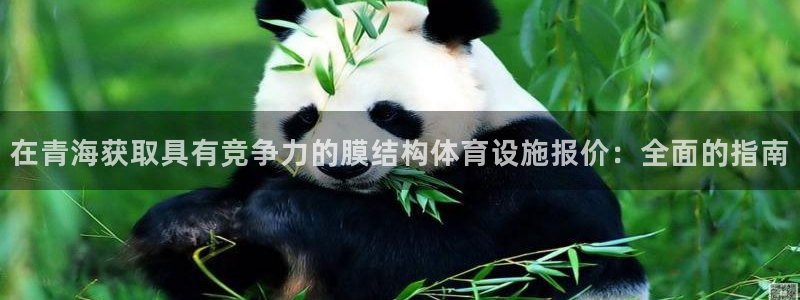 尊龙官网手机版下载