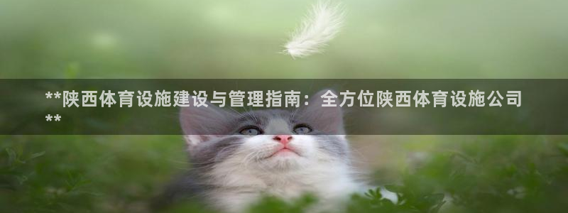 尊龙凯时捕鱼游戏能玩吗