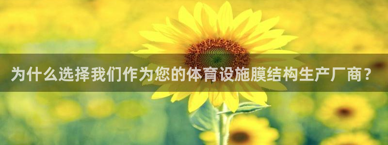 尊龙官方网站