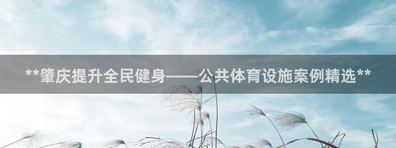 d88尊龙z6