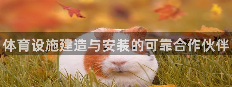 尊龙 中国
