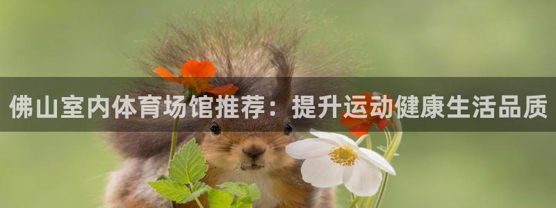尊龙网站手机下载