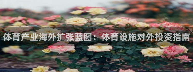 尊龙人生就是博l