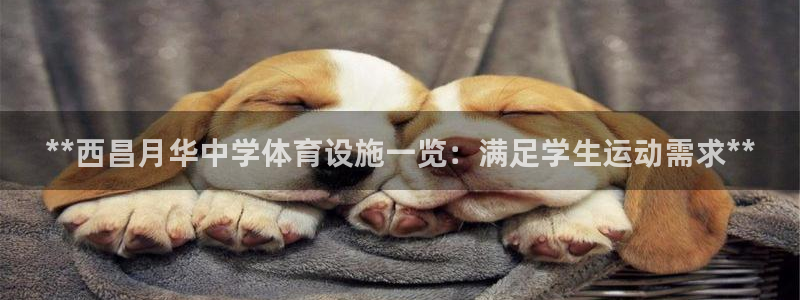 尊龙人生就是博下载