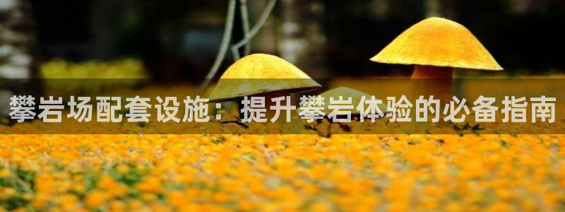 尊龙凯时人生就是博官网登录