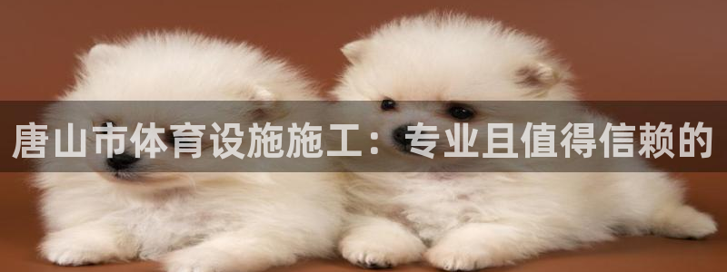 尊龙网站人生就是博