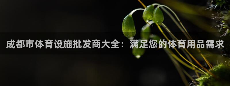 尊龙凯时代理官网入口