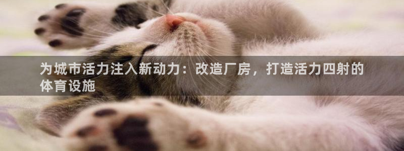 凯时国际网站域名