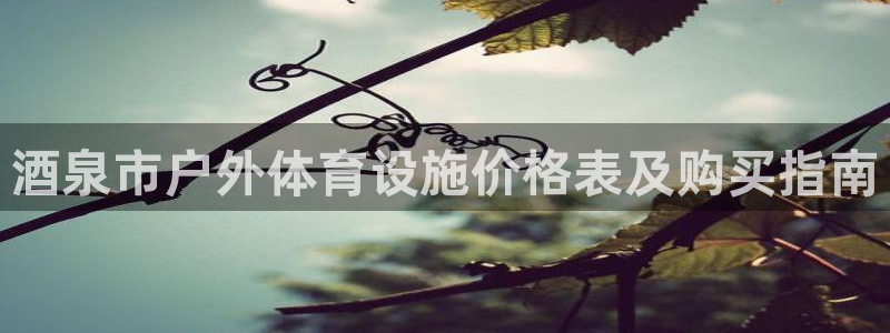 KB88凯时官网