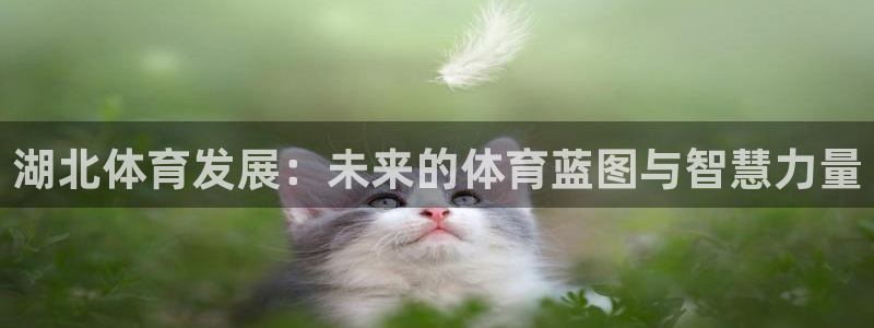 尊龙凯时提款冻卡吗