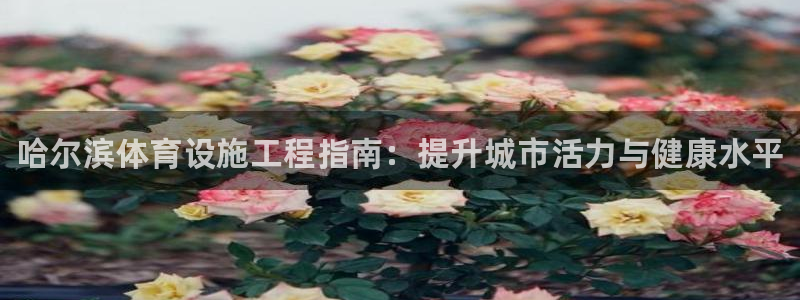 尊龙凯时是大平台吗