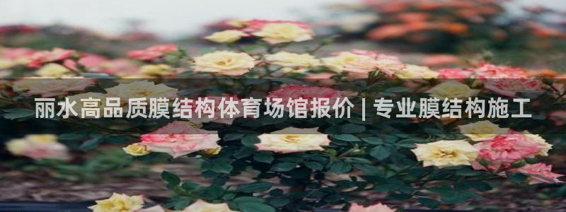 尊龙凯时城娱乐