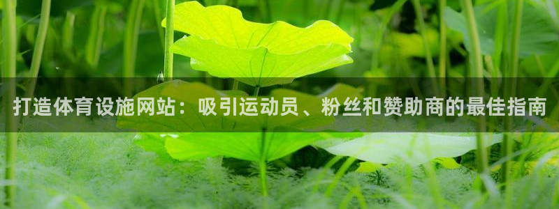 尊龙官方网站首页