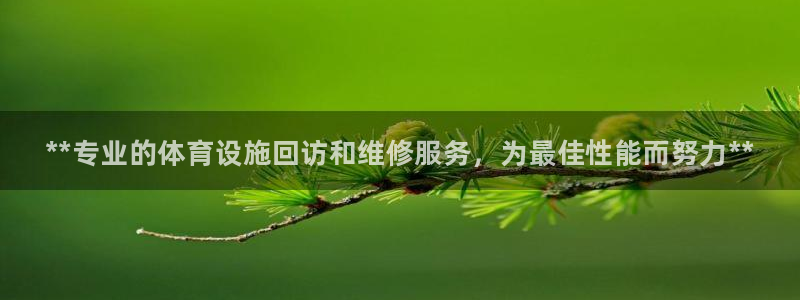 尊龙凯时平台官网