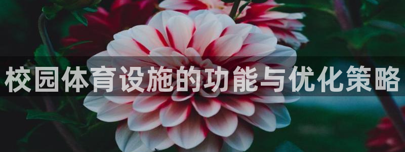 z6尊龙凯时ag旗舰厅