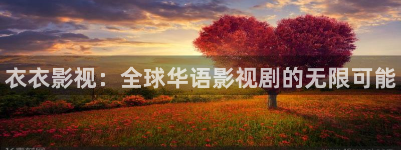 日本电影悠久影院：衣衣影视：全球华语影视剧的无限可能