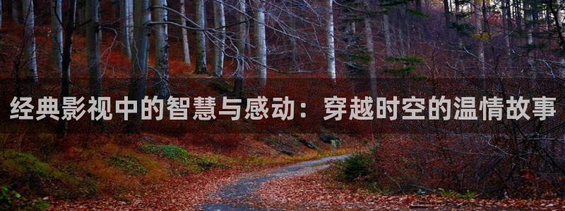 悠久影院观看免费电影：经典影视中的智慧与感动：穿越时空的温情故事