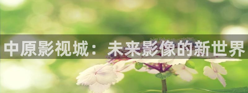 悠久影院全集免费观看：中原影视城：未来影像的新世界