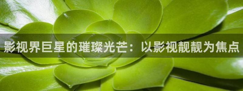 女心理师电视剧免费观看悠久影院：影视界巨星的璀璨光芒：以影视靓靓为焦点