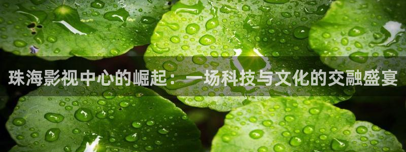 悠久影院免费完整版：珠海影视中心的崛起：一场科技与文化的交融盛宴