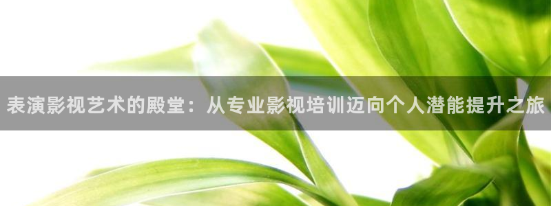 悠久影院免费：表演影视艺术的殿堂：从专业影视培训迈向个人潜能提升之旅
