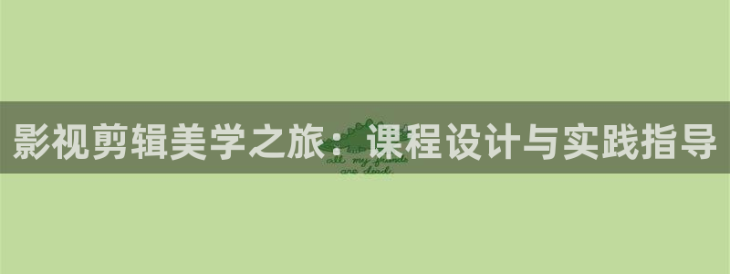 悠久影院免费在线观看：影视剪辑美学之旅：课程设计与实践指导