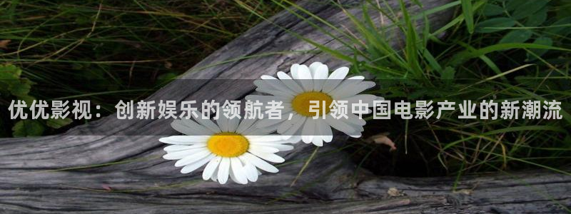 悠久影院免费完整播放：优优影视：创新娱乐的领航者，引领中国电影产业的新潮流