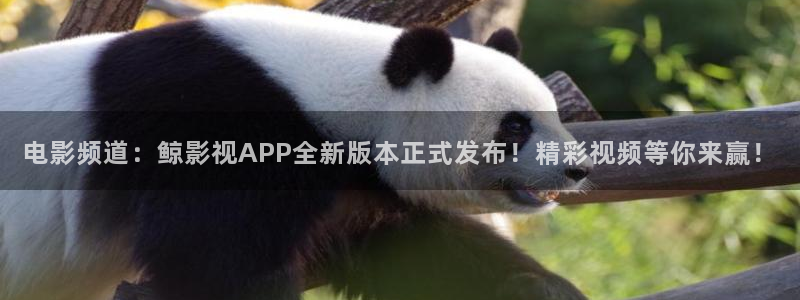 悠久影院免费观看电视剧：电影频道：鲸影视APP全新版本正式发布！精彩视频等你来赢！