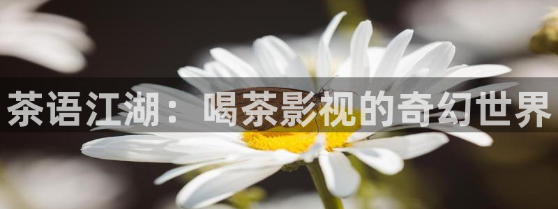 万界仙踪全集完整版免费播放悠久：茶语江湖：喝茶影视的奇幻世界