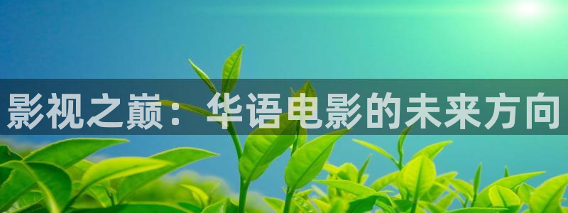 日本电影悠久影院：影视之巅：华语电影的未来方向