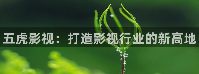 悠久影院最新在线免费观看电影：五虎影视：打造影视行业的新高地